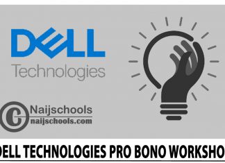 Dell Technologies Pro Bono Workshop 2024